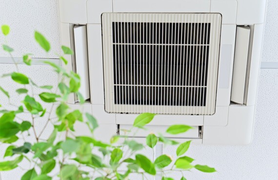 A ceiling-mounted air conditioning unit with a rectangular vent, situated above fresh green leaves from a nearby indoor plant, set against a white ceiling background, ready for emergency restoration.