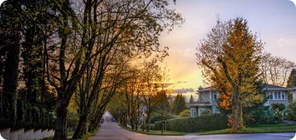 A serene suburban street lined with trees displaying autumn colors, under a soft sunset with rays of sunlight piercing through the foliage, illuminating a quiet road and nearby houses undergoing emergency restoration.