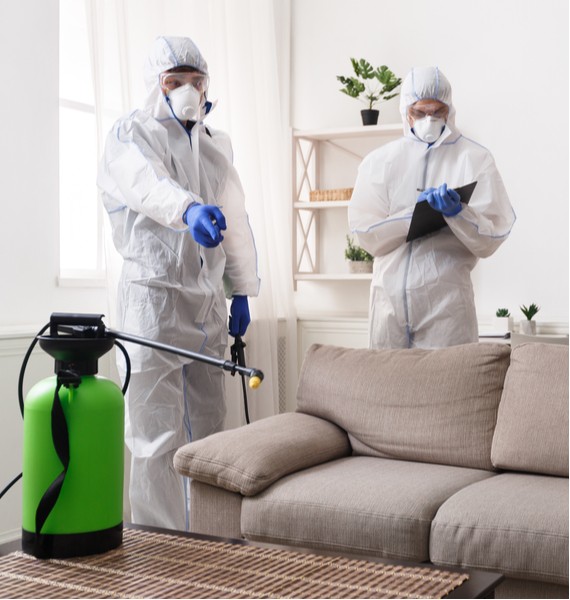 Two emergency restoration workers in protective suits and masks are treating a modern living room, one spraying a couch while the other takes notes.