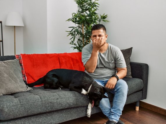 A man sitting on a grey sofa and laughing, covering his mouth with his hand, next to him a black and white dog sleeps comfortably. There's a red throw on the sofa, and an emergency